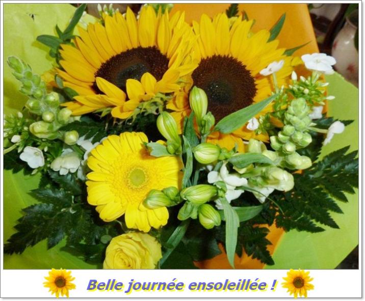 tournesol