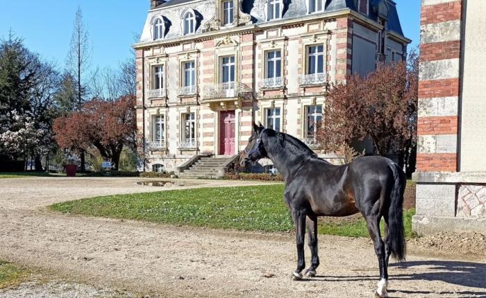 Département de la Manche 2ème partie