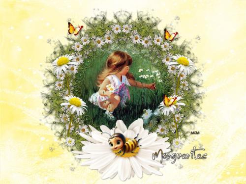 Fond écran Marguerites - Ruban Bonne Semaine