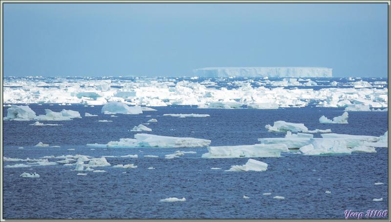 03/03/2022 : navigation très monotone entre Mer de Ross et Mer d'Amundsen - Antarctique