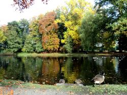  * Automne au Domaine de Bourgogne à Estaimbourg