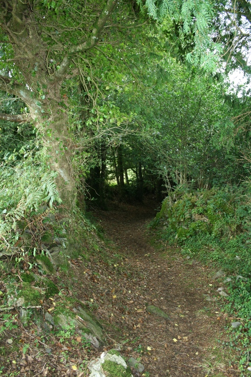 Chemin creux en Finistère