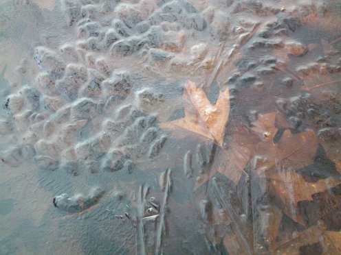 Image04.jpg