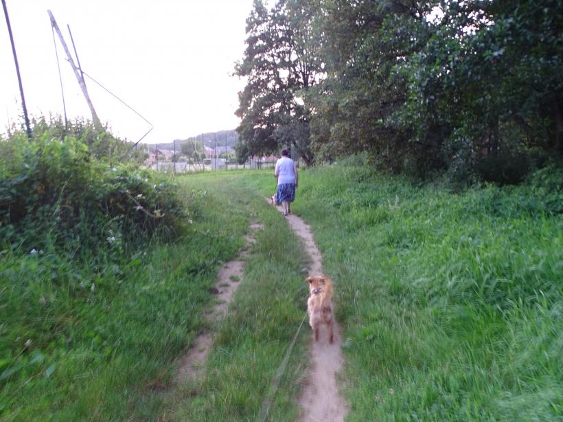 Balade avec mon amie