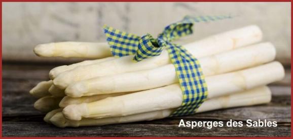 ⊱♥⊱╮ღ꧁  40 LES LANDES ꧂ღ ⊱♥≺  