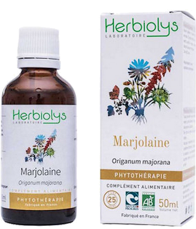 Fleurs cultivées : Marjolaine