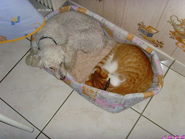 48-chat-30.11.11-ES.jpg