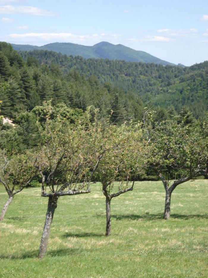 Département du Gard