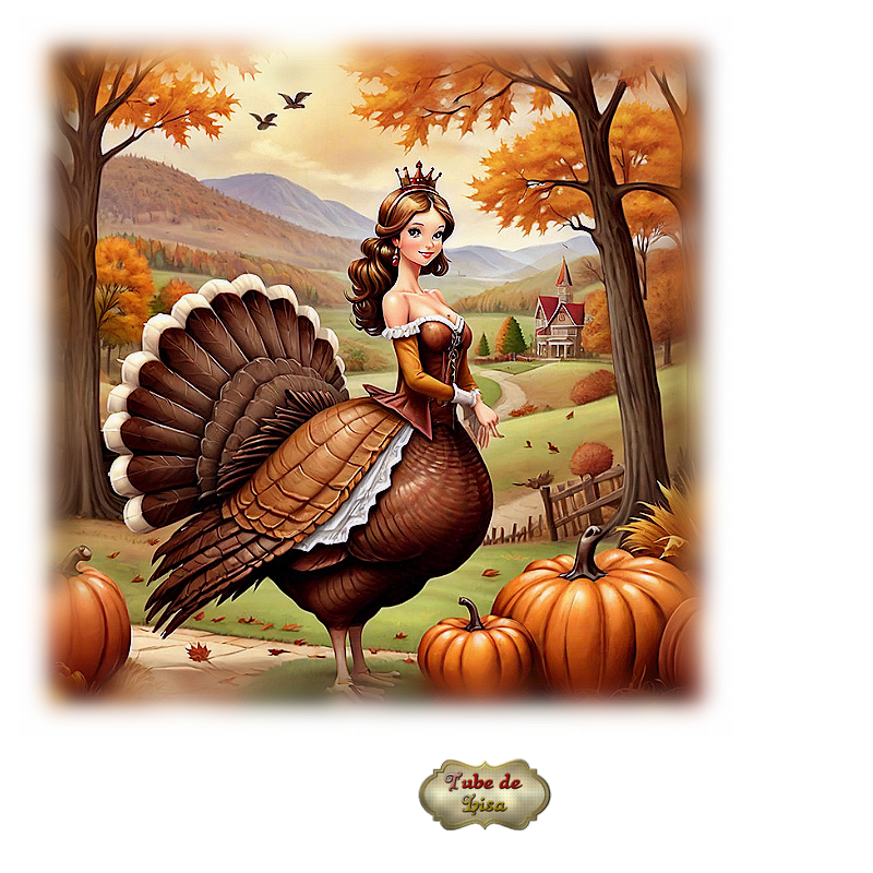 Autour de la dinde 3