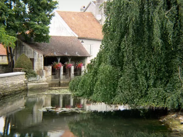 Département de la Haute Marne