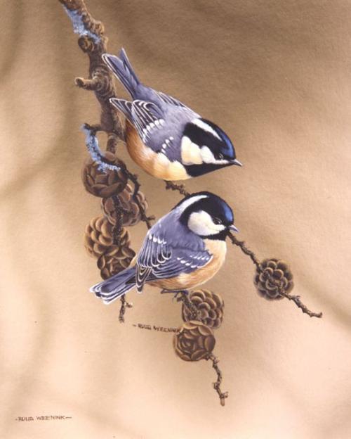 oiseaux en peinture (suite)