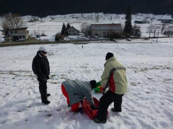 luge