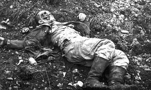 11 novembre 1918 : l'Armistice est signée