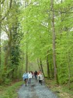 La randonnée du 6 mai à Bavent