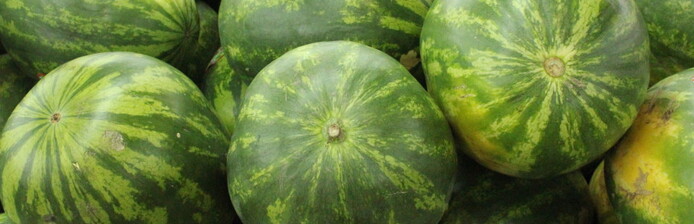 melon d'eau ... la pastèque ... 