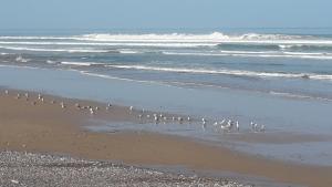 Depuis Dakhla