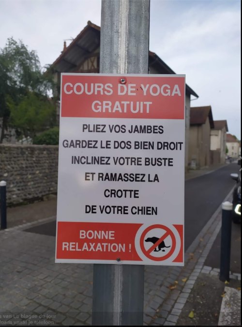 toutous