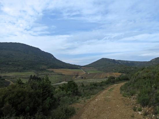 LE-COL-DE-FEUILLA