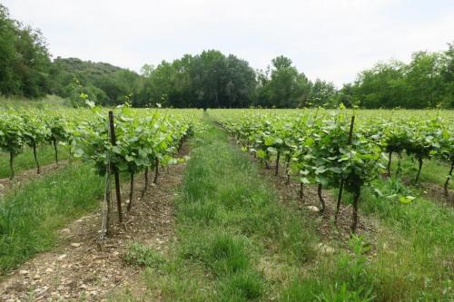 Randonnée "Au fil de l'eau" à NERS