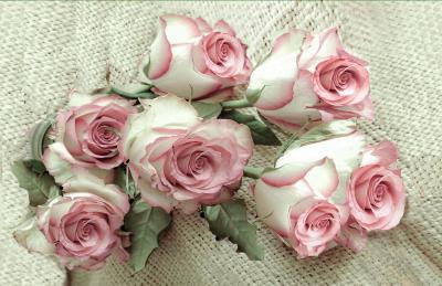 Rose d'un jour,rose toujours