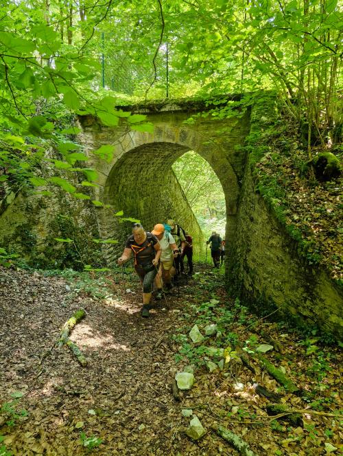 "Le long du Ru Blanc" - Mercredi 17 juillet 2024