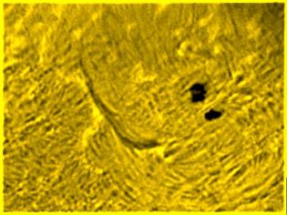 homemade erf filter,sun h-alpha,soleil h-alpha,filtre erf maison,leca philippe,philippe leca,pst coronado,gtf81