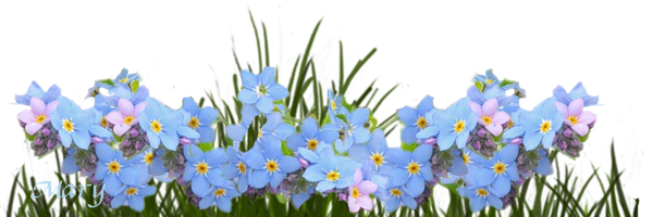 Motif printanier "le myosotis" ...