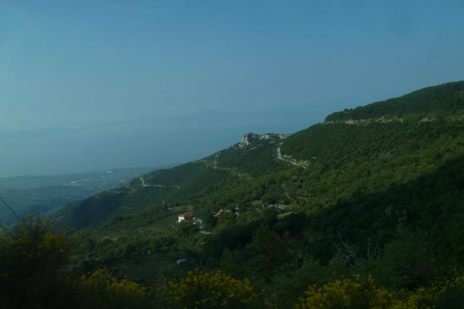 Vert Pélion