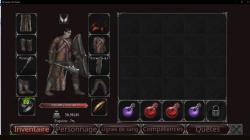 Vampire's Fall Origins sur PC*