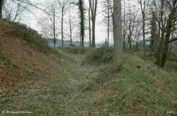 LES REMPARTS DE BIENFAITE (Calvados)
