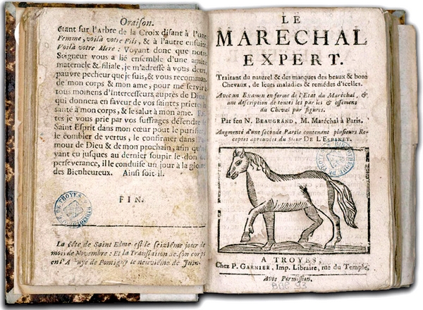 maréchal expert bibliothèque bleue