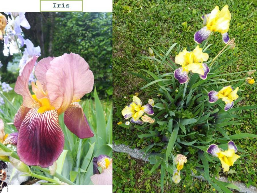 Mon univers au 17/5/2022