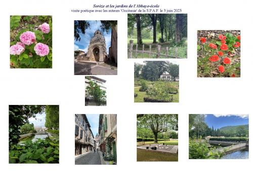 DANS LE PARC  (2)