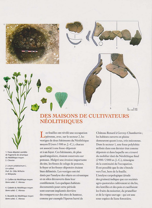 Sébastien Chevrier de L'INRAP, a présenté une conférence sur les origines de la vigne à Gevrey-Chambertin(Côte d'Or)