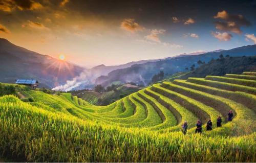 VIETNAM