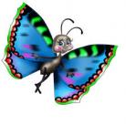 Papillon ... le petit frère