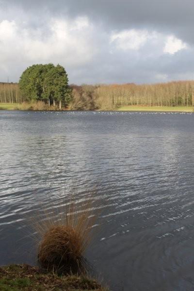 Au lac du Drennec (13)