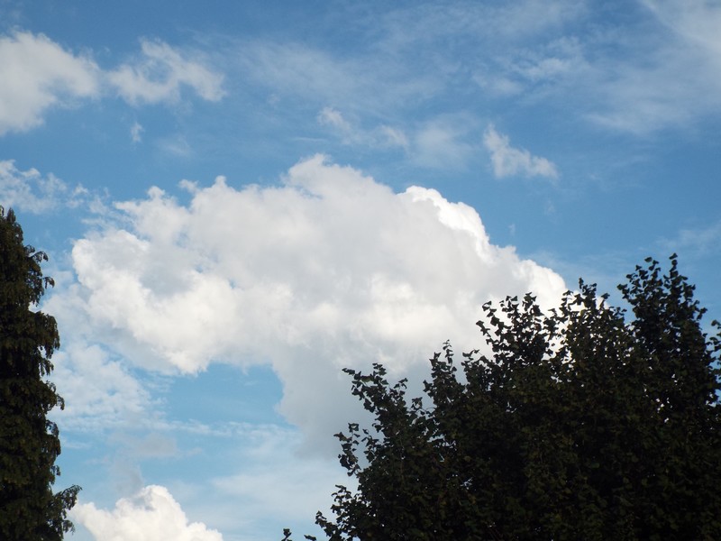 nuage
