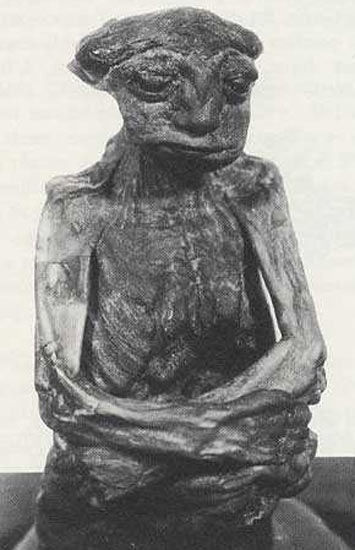 Squelettes extraordinaires