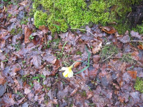 "Mercredi, ah j'ai foot et rando !!!" - Mercredi 28 mars 2018