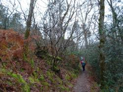 CR / RANDO 15 / ST-MEDARD-EN-JALLES