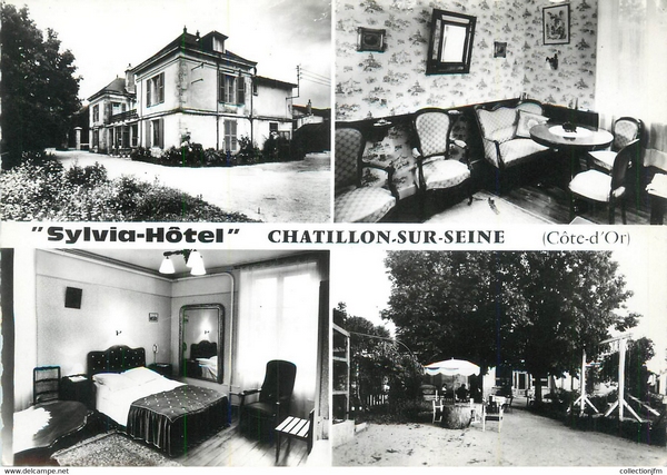 Quelques cartes postales représentant les commerces d'autrefois à Châtillon sur Seine.....