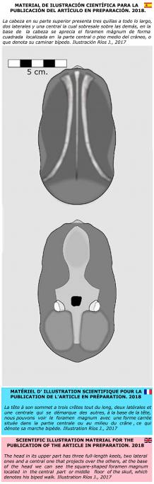 ALIEN PROJECT - Les momies du Pérou/5