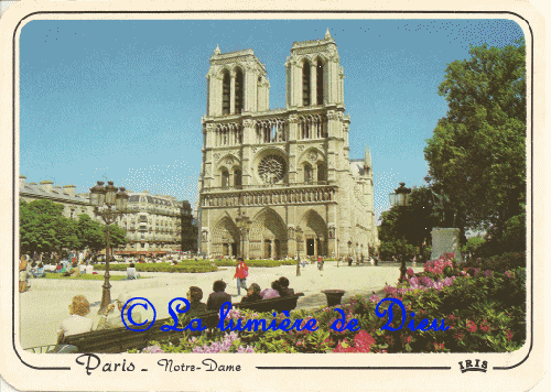 La cathédrale Notre-Dame de Paris