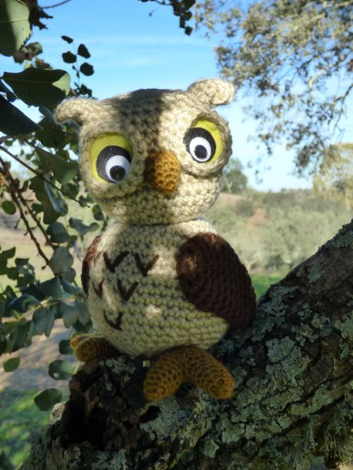 Dans la forêt lointaine.....