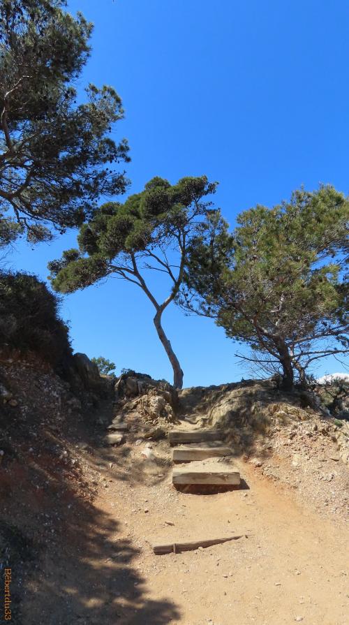 la presqu'île de Giens - 9