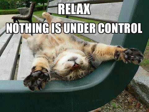 https://img.picturequotes.com/2/20/19918/relax-nothing-is-under-control-quote-3.jpg