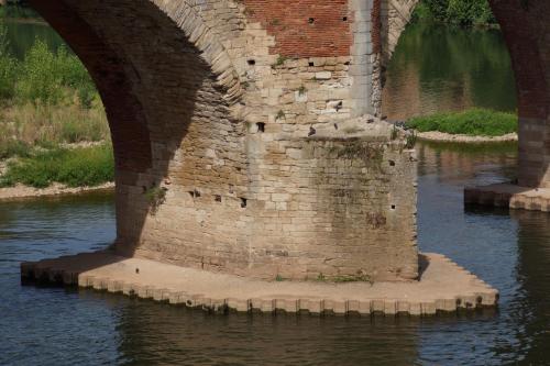 Albi  (Tarn)