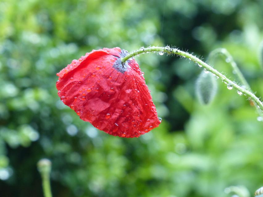 Aimer la pluie c'est pôssible!
