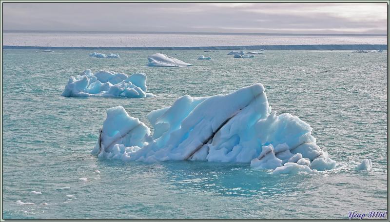 Le reste de la matinée va se poursuivre en navigation depuis l'île Noraustlandet vers le nord-est de l'île Spitzberg - Svalbard - Norvège